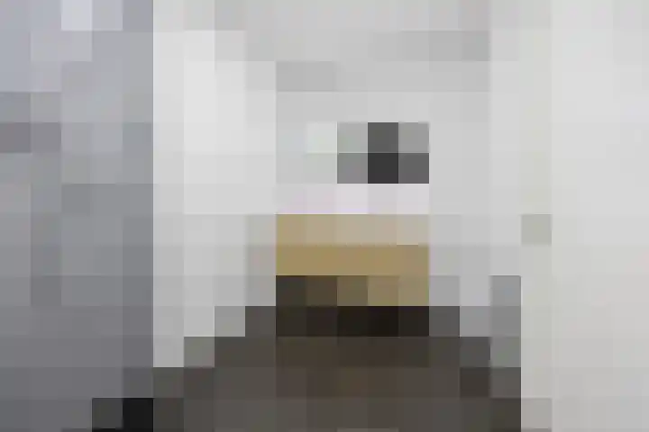 Peppelveld 4 Beneden-Leeuwen thumbnail 29