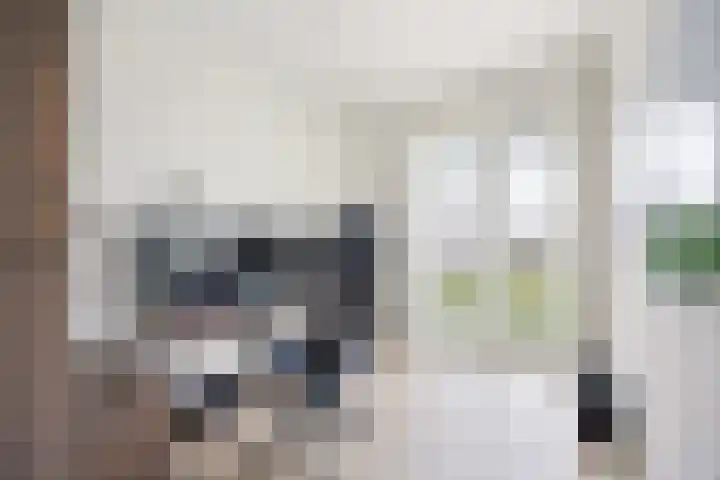 Peppelveld 4 Beneden-Leeuwen thumbnail 32