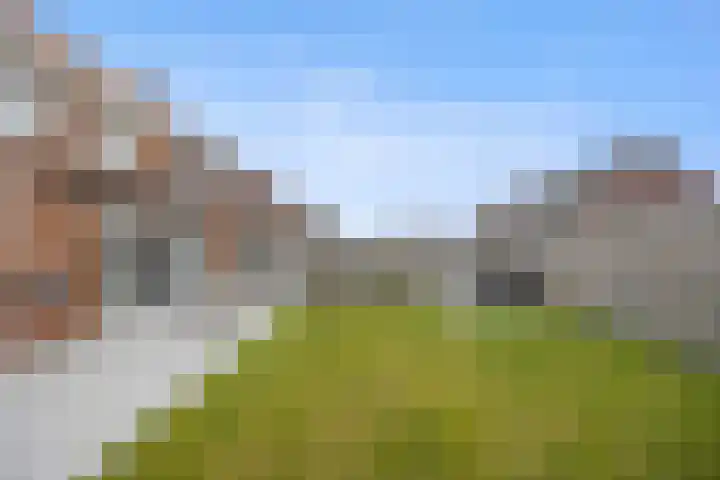 Peppelveld 4 Beneden-Leeuwen thumbnail 45