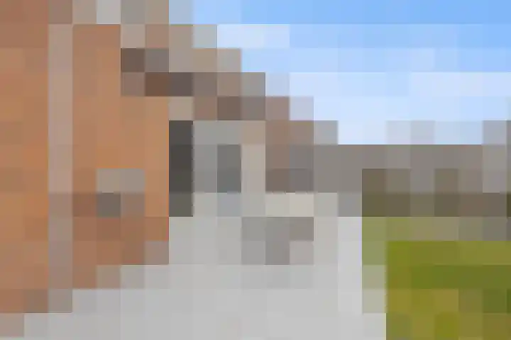 Peppelveld 4 Beneden-Leeuwen thumbnail 46