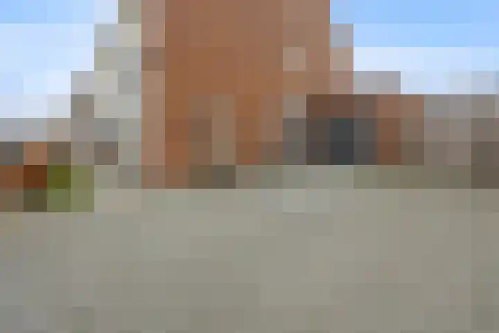 Peppelveld 4 Beneden-Leeuwen thumbnail 49