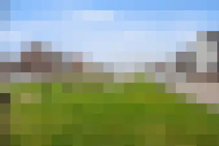 Peppelveld 4 Beneden-Leeuwen thumbnail 54