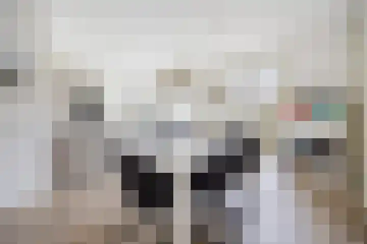 Peppelveld 4 Beneden-Leeuwen thumbnail 6