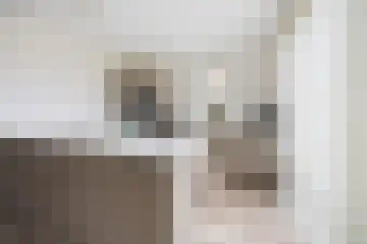 Peppelveld 4 Beneden-Leeuwen thumbnail 9