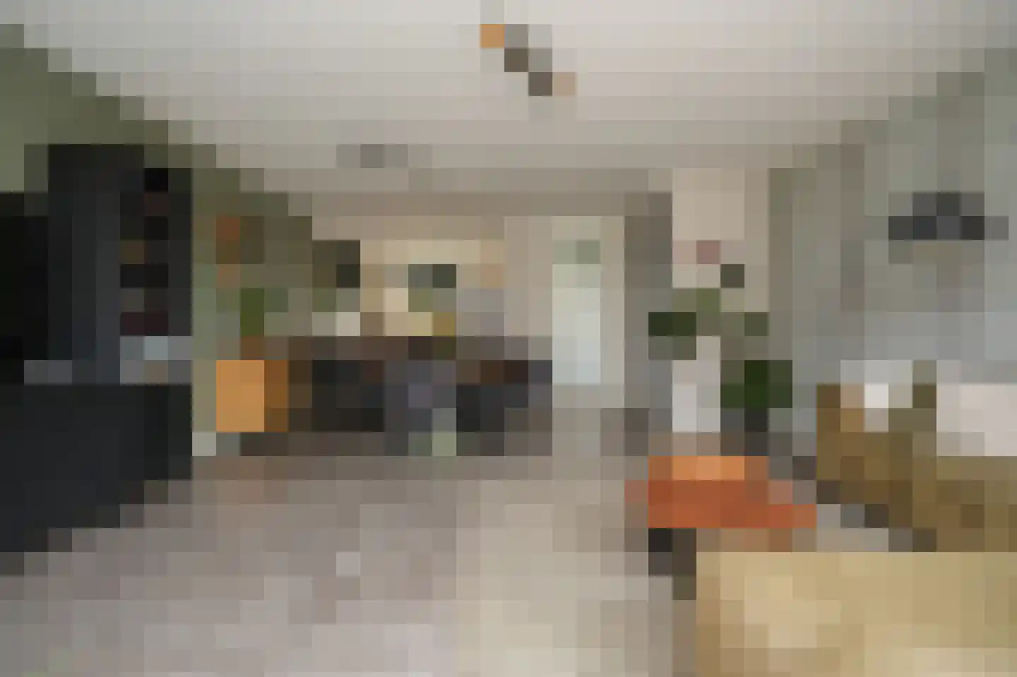 Peppelveld 5 Beneden-Leeuwen thumbnail 4