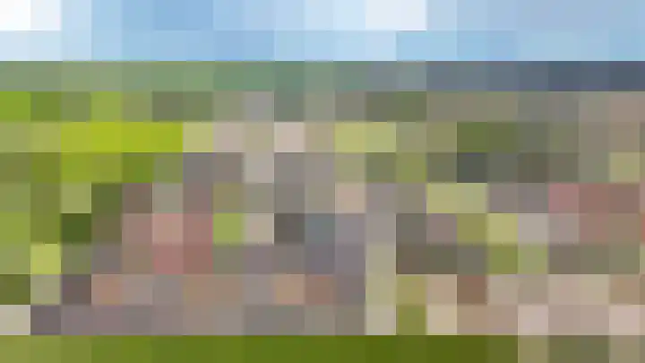 Peppelveld 7 Beneden-Leeuwen thumbnail 33