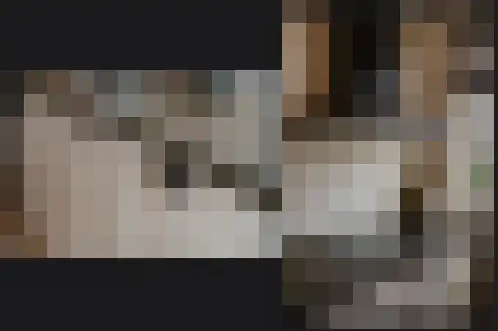 Peppelveld 7 Beneden-Leeuwen thumbnail 7