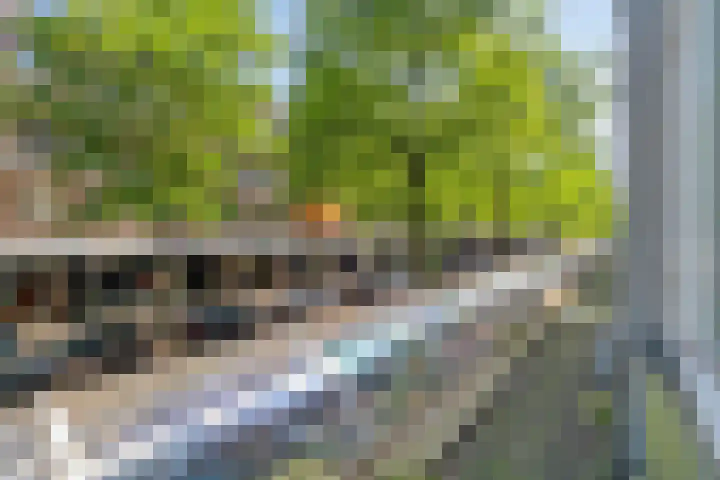 Peppelweg 132 B Rotterdam thumbnail 22