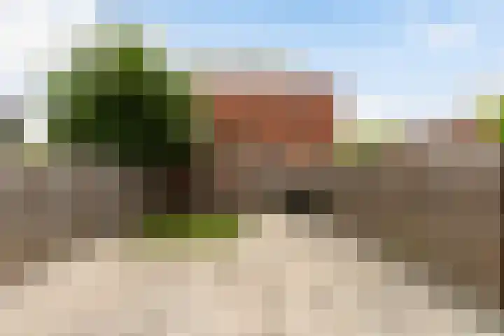 Peppelweg 186 Rotterdam thumbnail 18