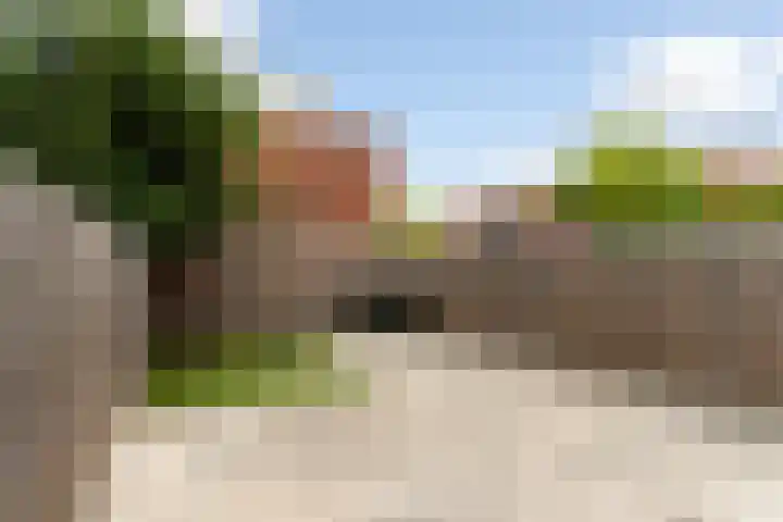 Peppelweg 186 Rotterdam thumbnail 19