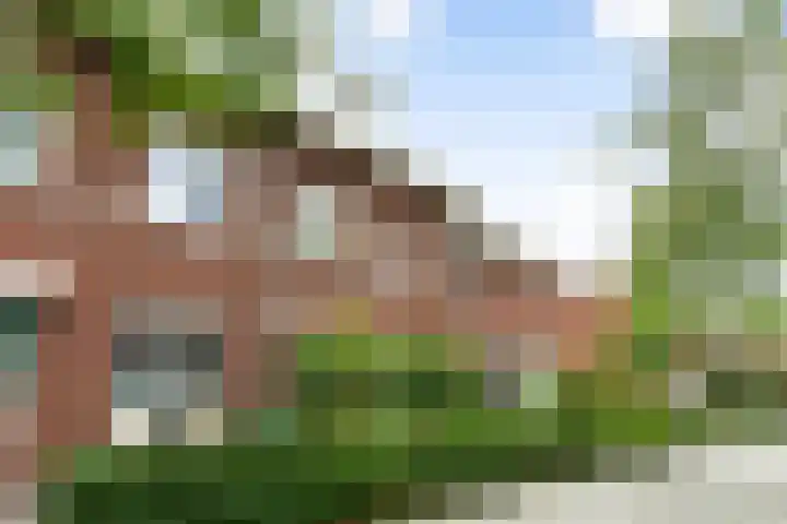 Peppelweg 186 Rotterdam thumbnail 5