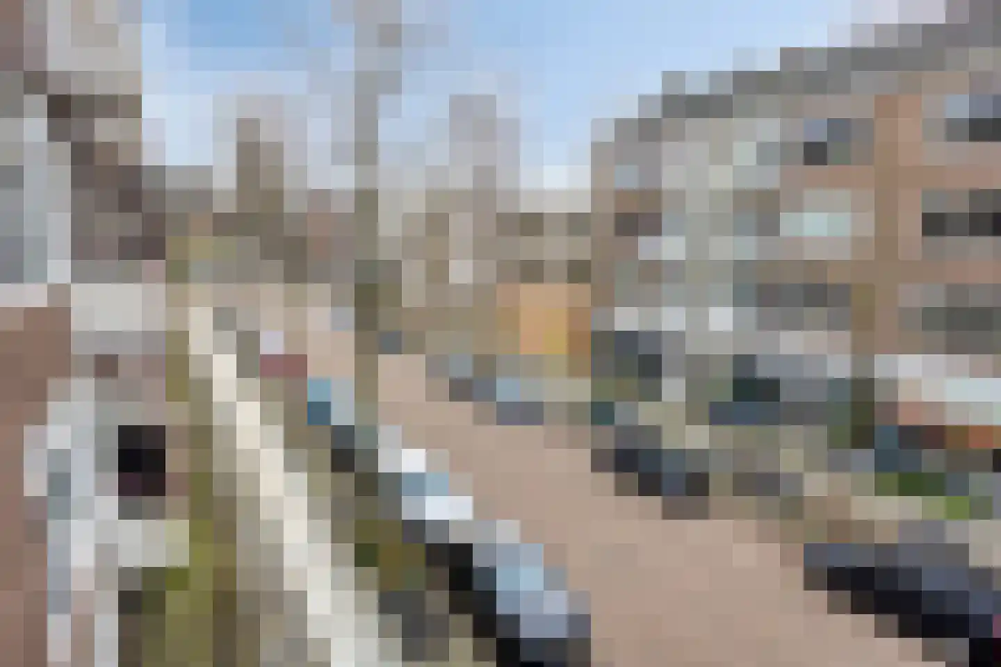 Peppelweg 19 A Rotterdam thumbnail 21