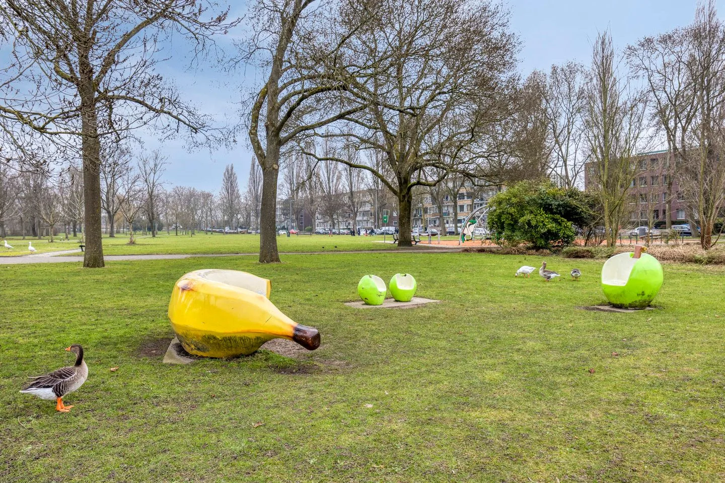 Peppelweg 19 A Rotterdam thumbnail 24
