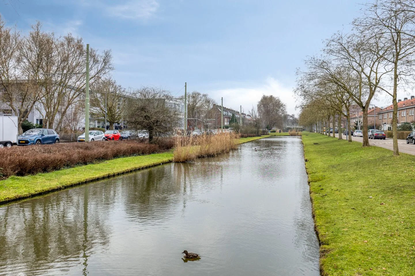 Peppelweg 19 A Rotterdam thumbnail 25