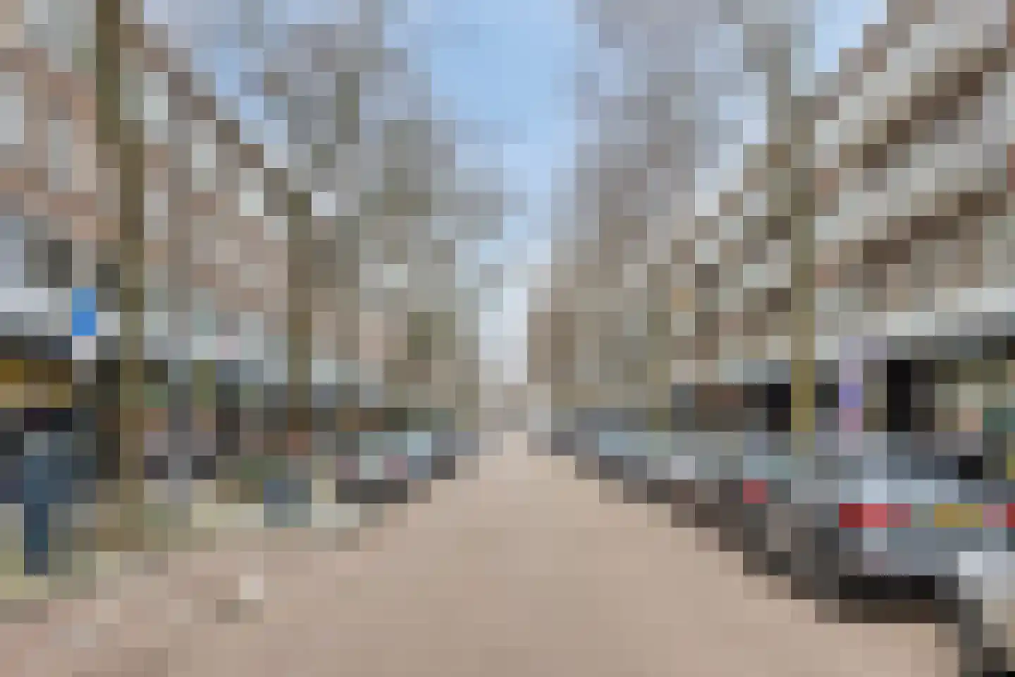 Peppelweg 19 A Rotterdam thumbnail 27