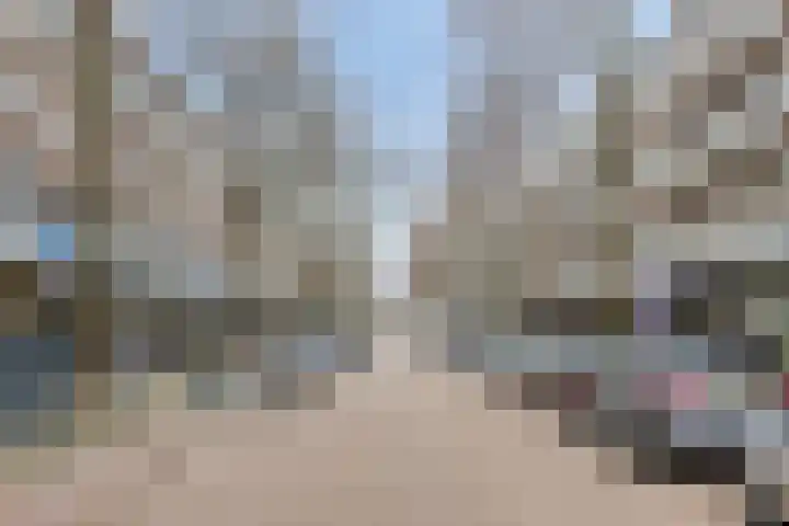 Peppelweg 19 B Rotterdam thumbnail 27