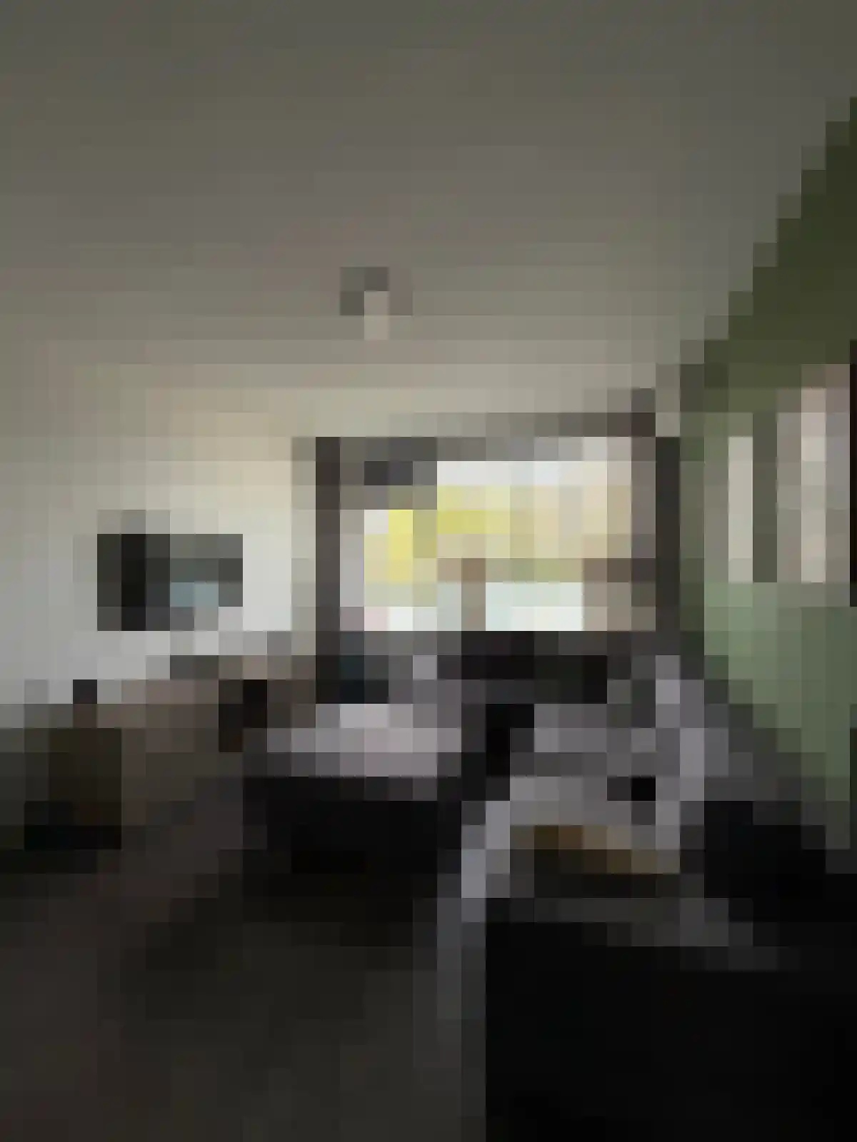 Peppelweg 20 Rotterdam thumbnail 5