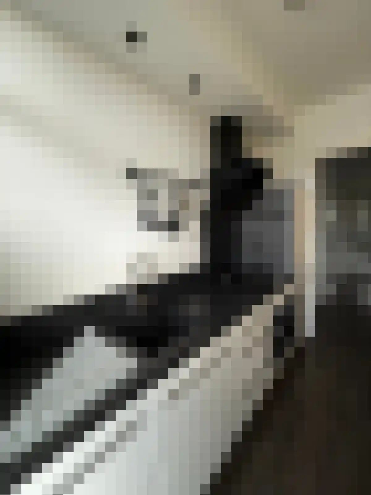 Peppelweg 20 Rotterdam thumbnail 6