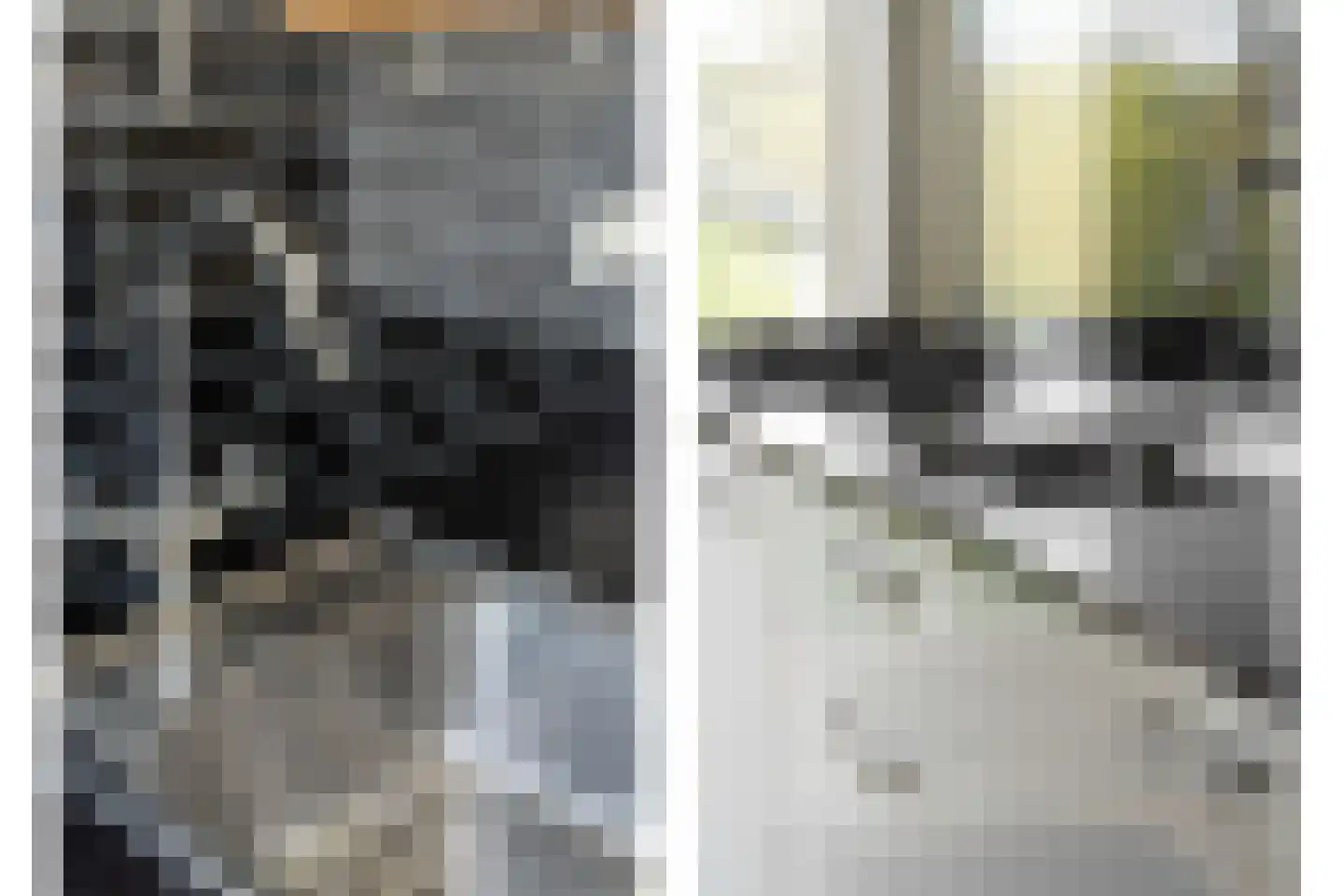 Peppelweg 22 C Rotterdam thumbnail 13