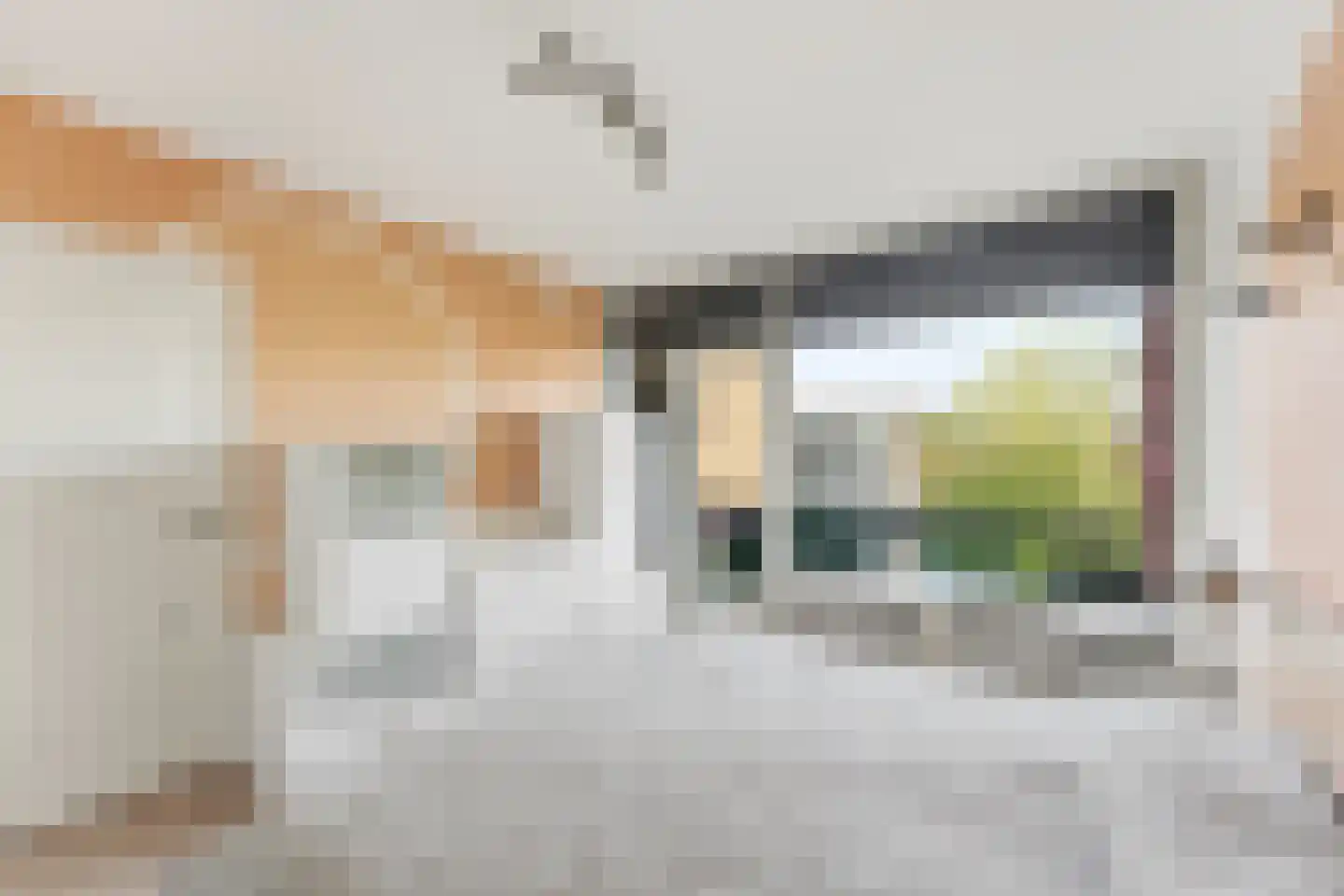 Peppelweg 22 C Rotterdam thumbnail 17