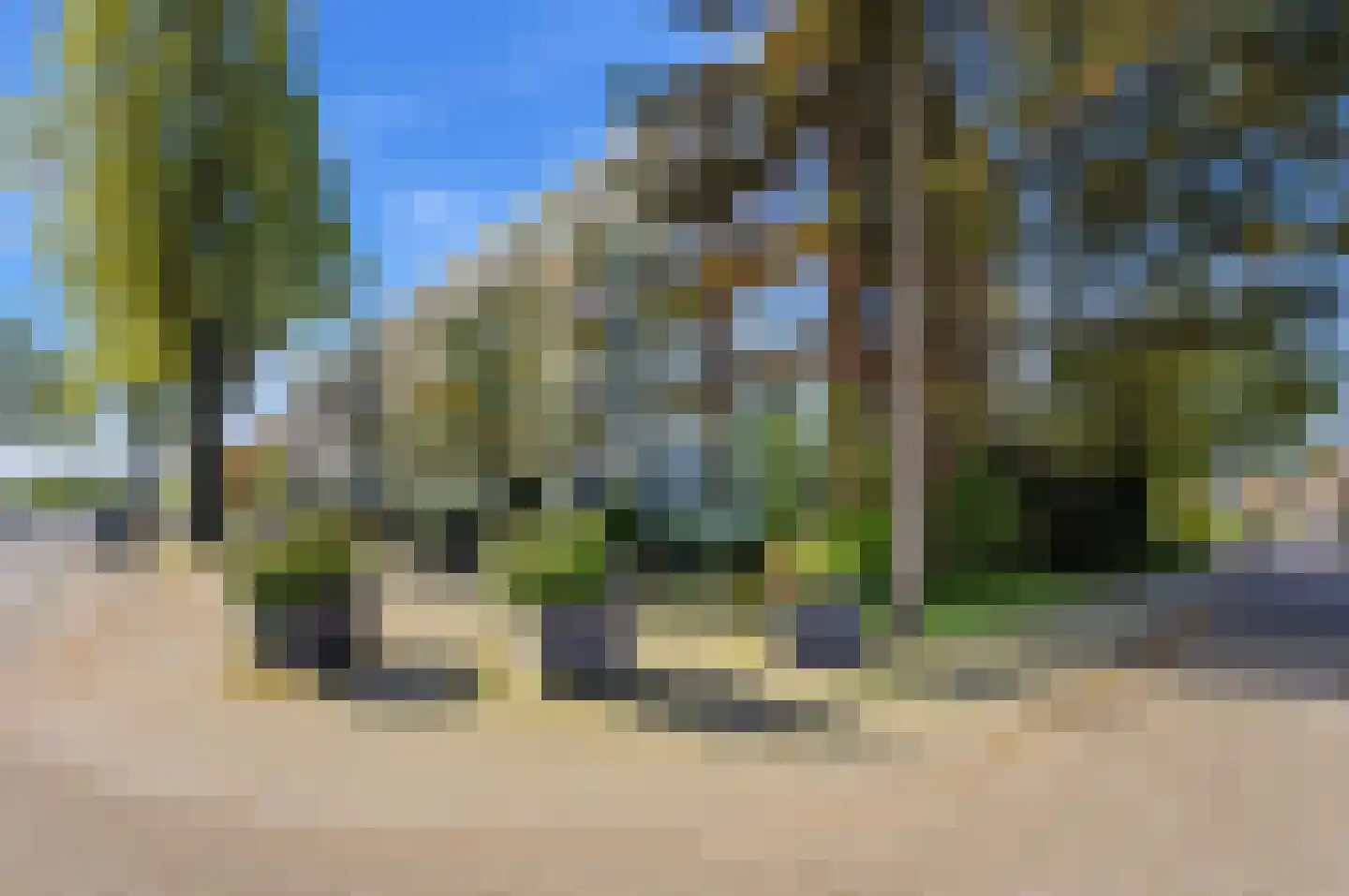 Peppelweg 22 C Rotterdam thumbnail 35