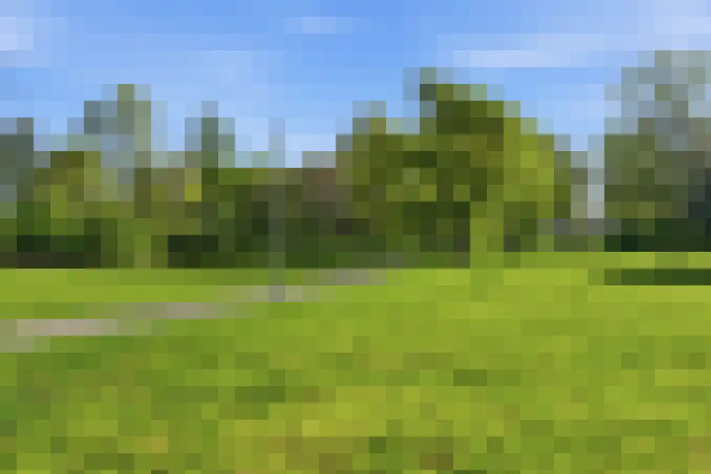 Peppelweg 22 C Rotterdam thumbnail 36