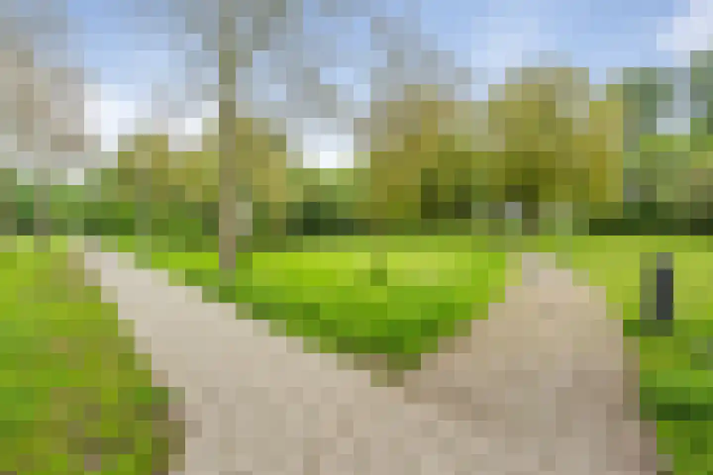 Peppelweg 22 C Rotterdam thumbnail 38