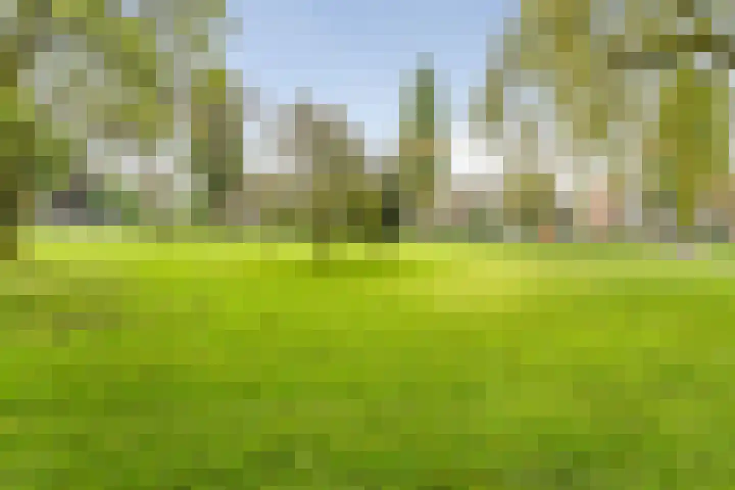 Peppelweg 22 C Rotterdam thumbnail 39