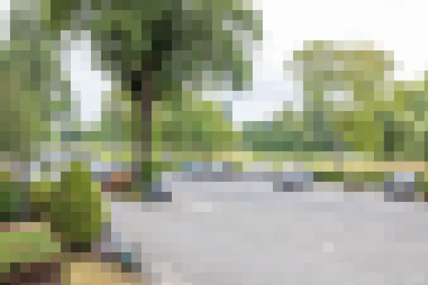 Peppelweg 24 A Rotterdam thumbnail 5