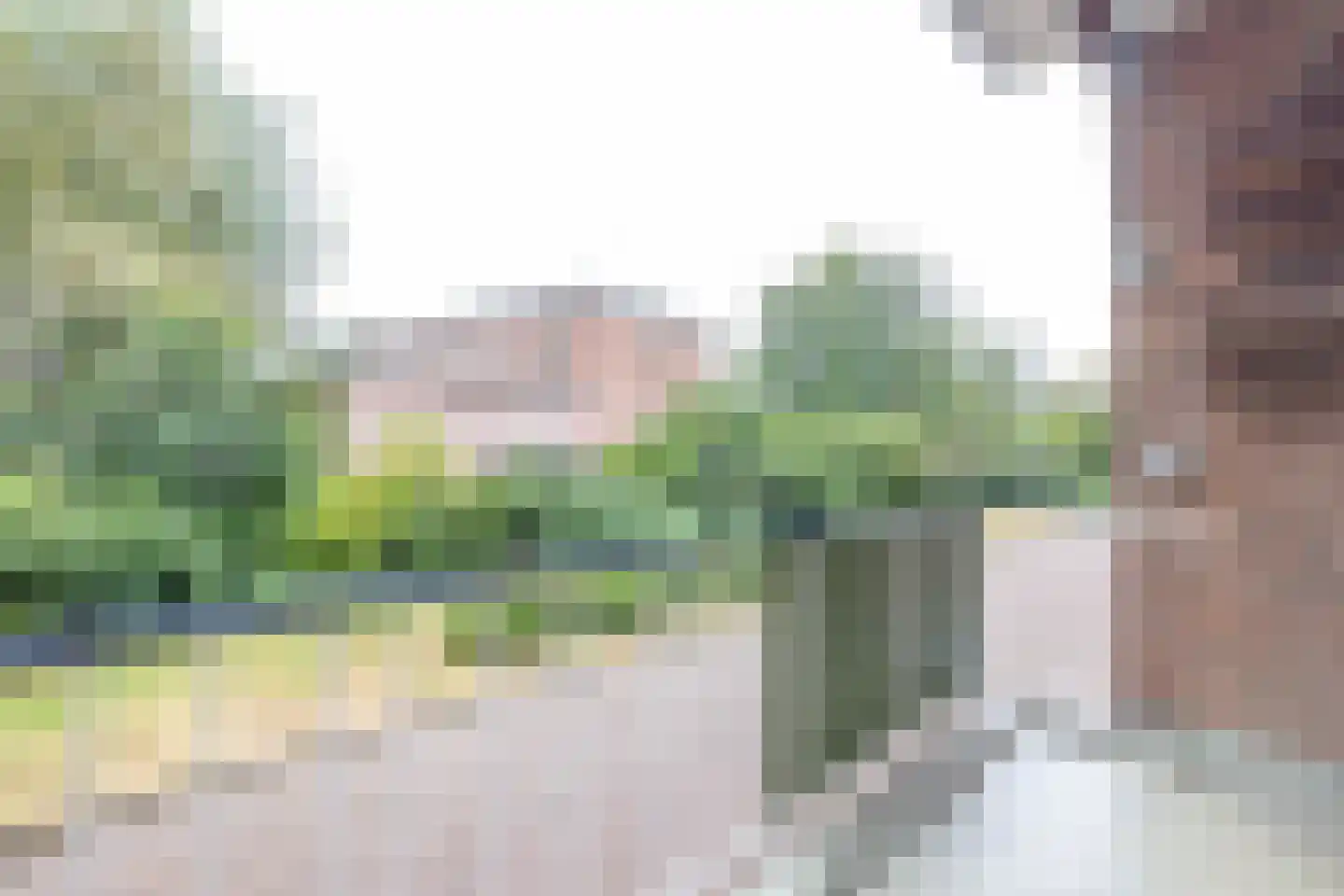 Peppelweg 24 A Rotterdam thumbnail 9