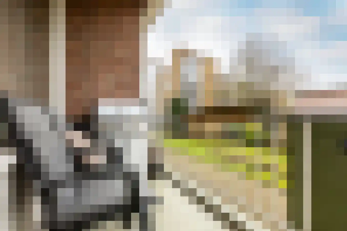 Peppelweg 28 C Rotterdam thumbnail 7