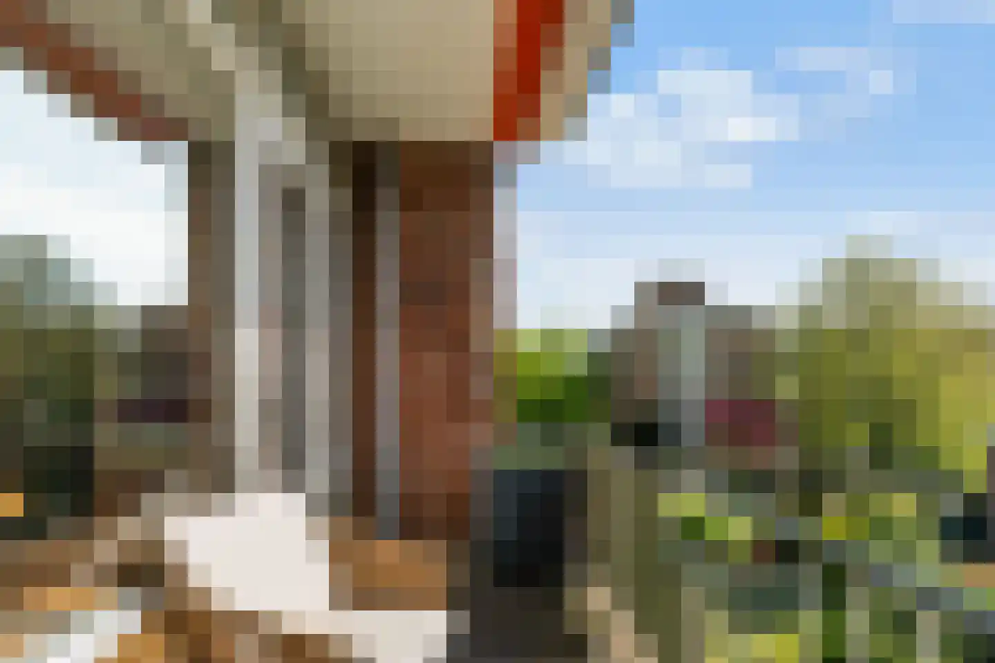 Peppelweg 30 C Rotterdam thumbnail 13