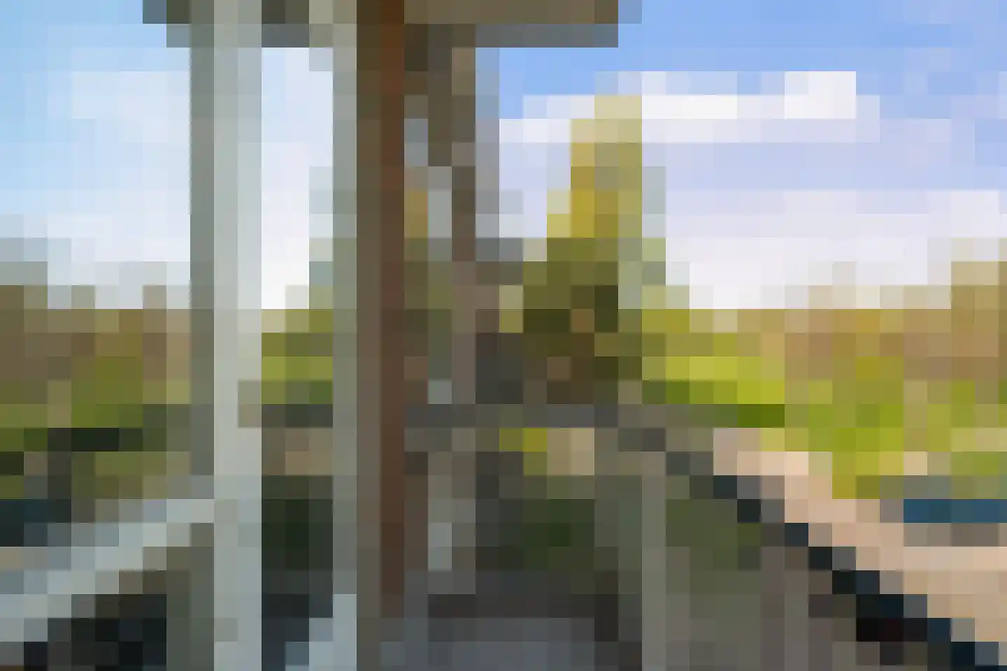 Peppelweg 30 C Rotterdam thumbnail 17