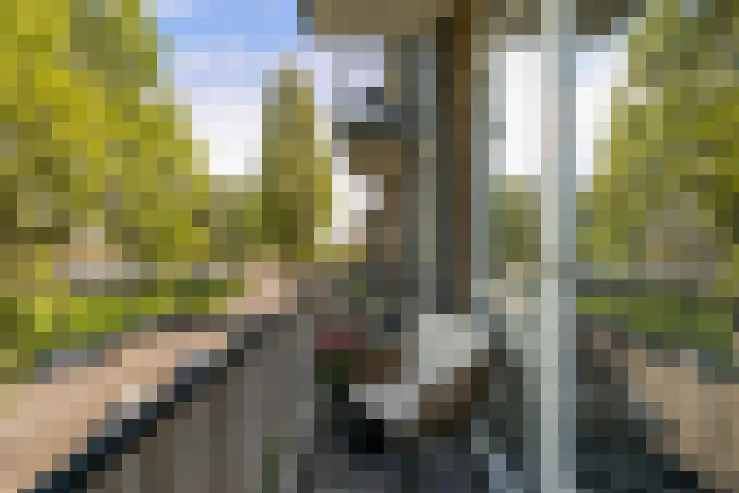 Peppelweg 30 C Rotterdam thumbnail 18