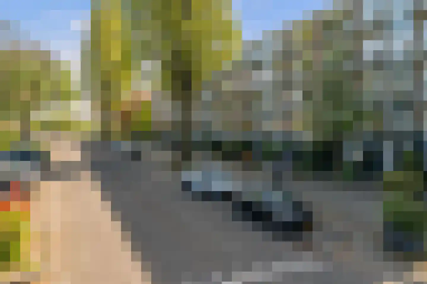 Peppelweg 30 C Rotterdam thumbnail 28