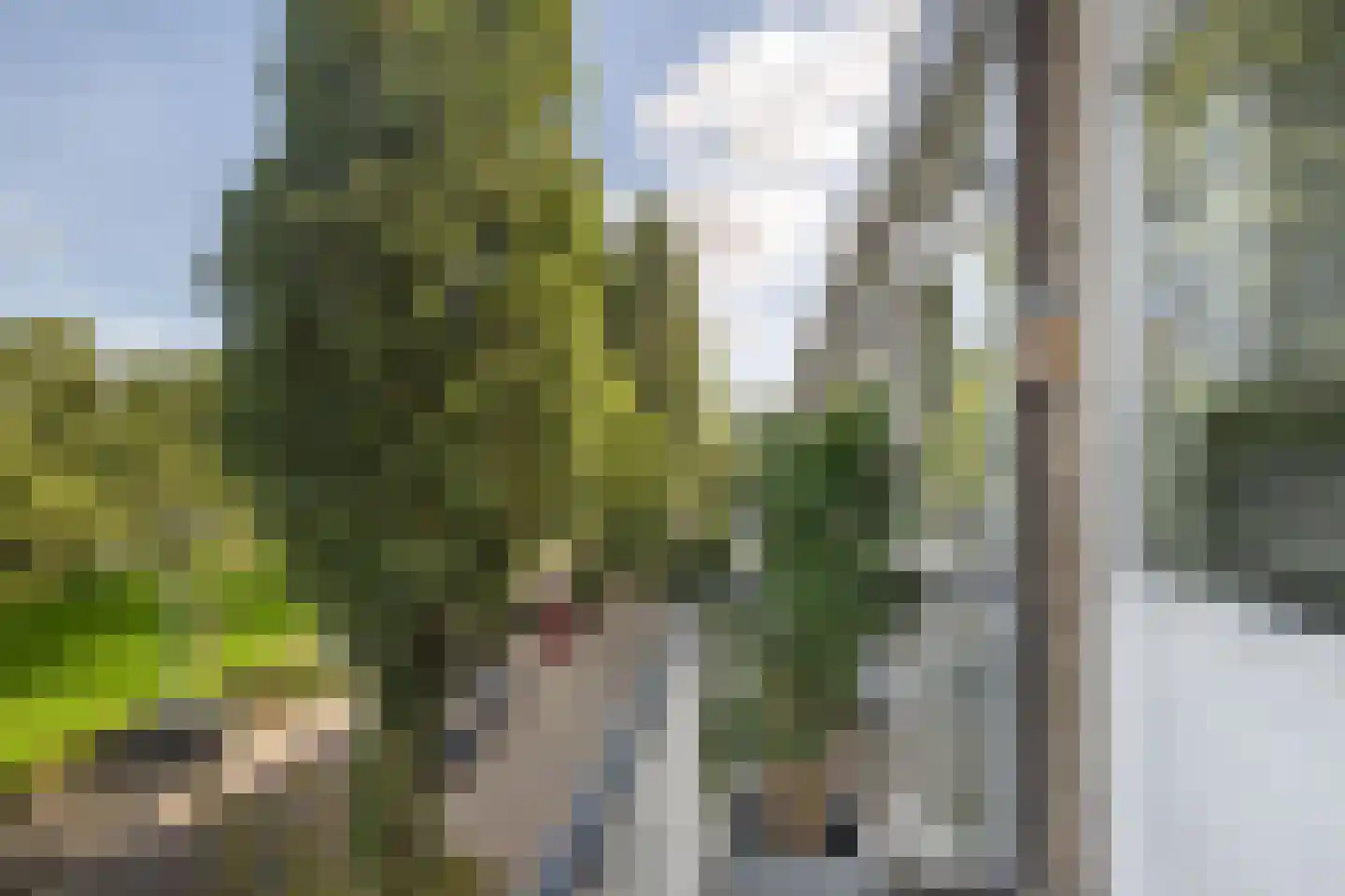 Peppelweg 34 D Rotterdam thumbnail 31
