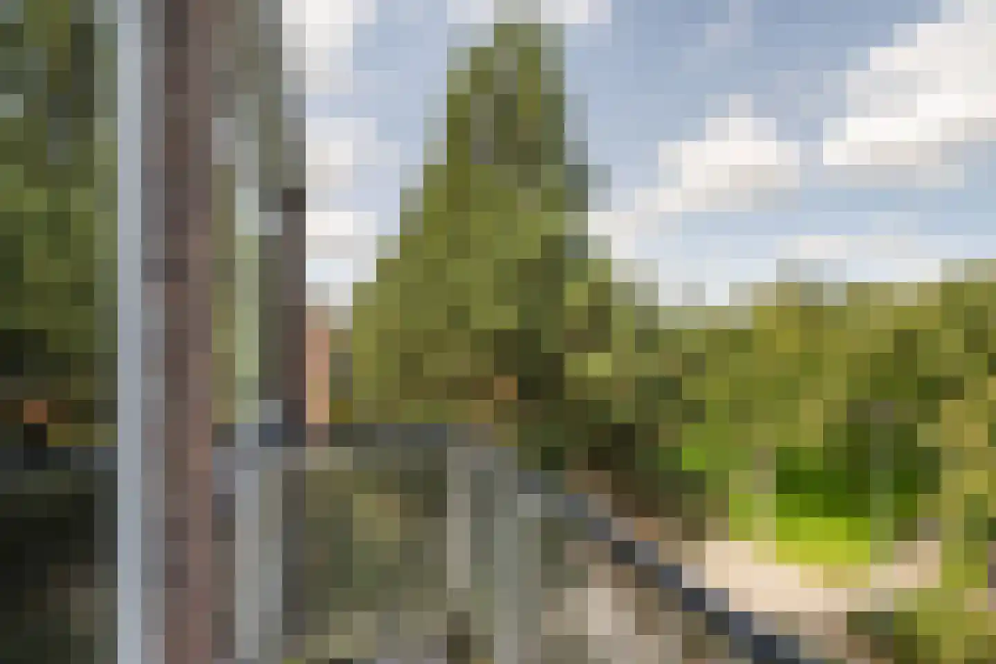 Peppelweg 34 D Rotterdam thumbnail 32