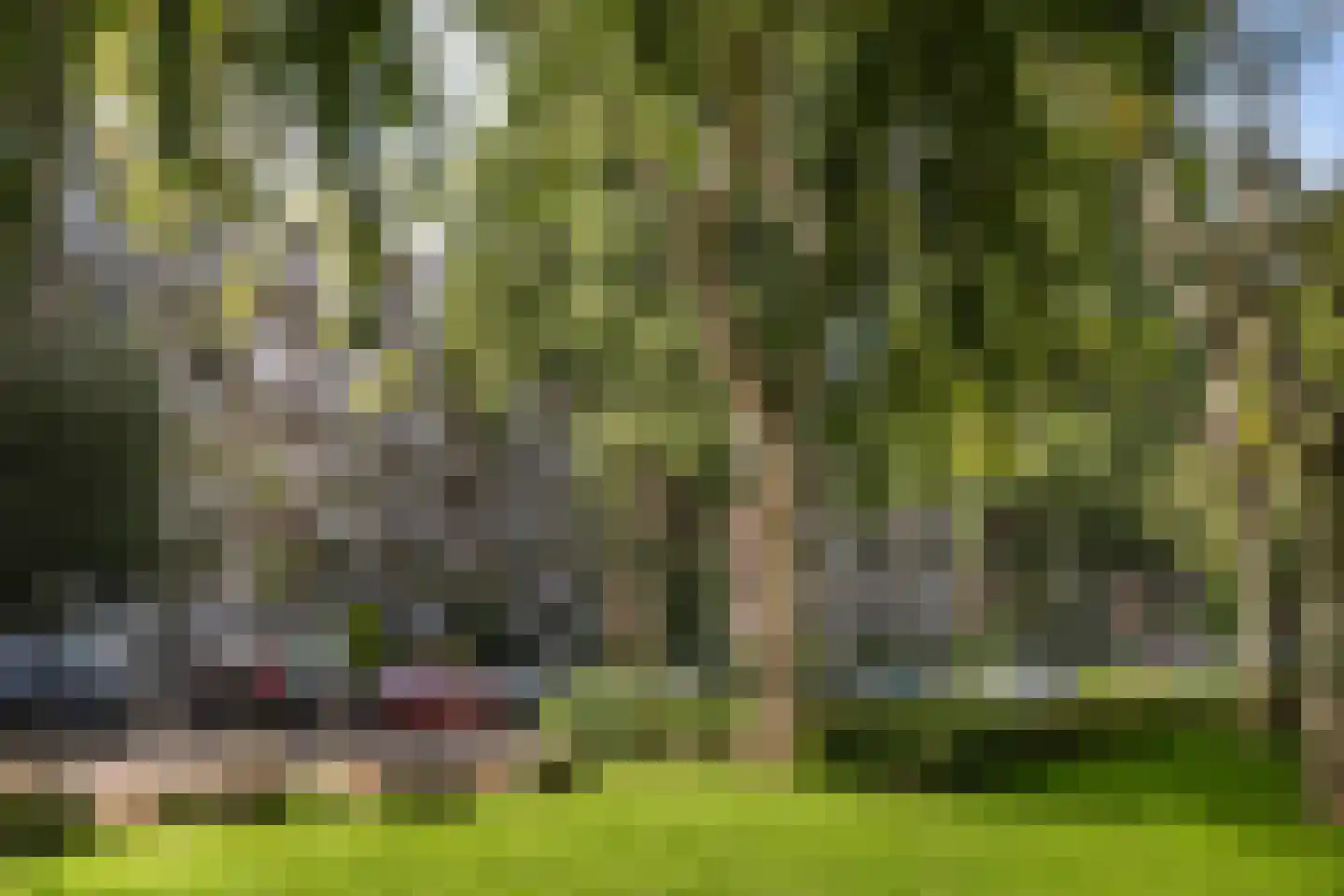 Peppelweg 34 D Rotterdam thumbnail 34