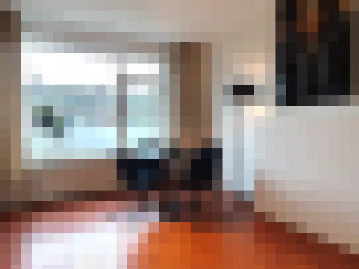 Peppelweg 64 Rotterdam thumbnail 4