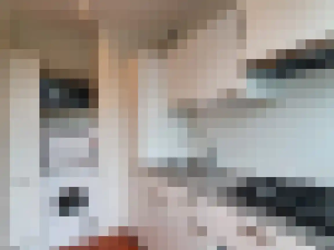 Peppelweg 64 Rotterdam thumbnail 5