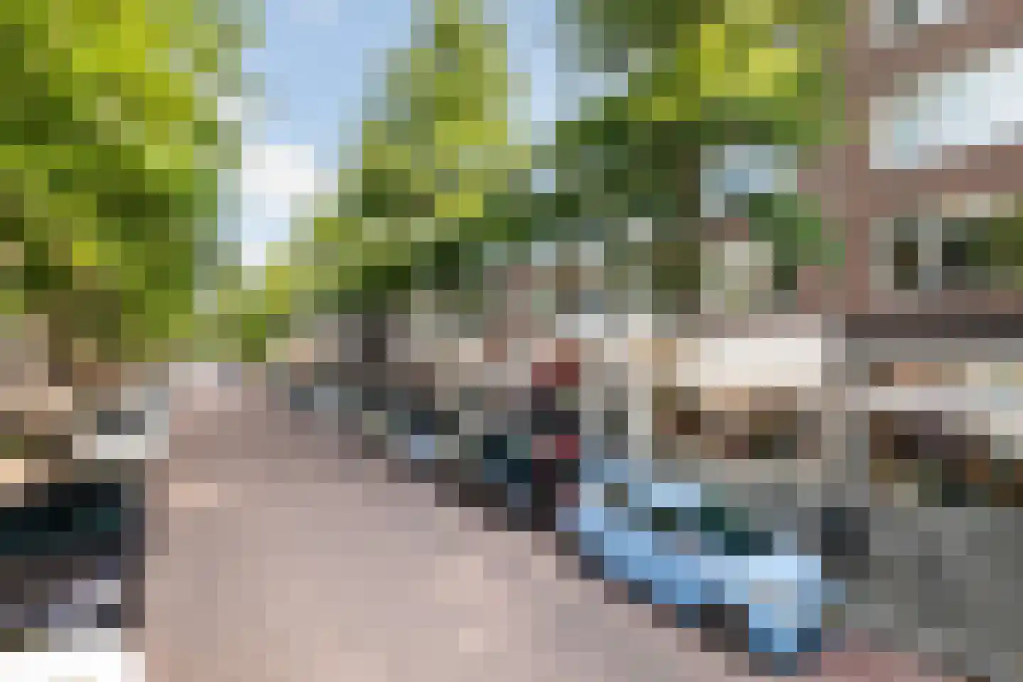 Peppelweg 70 B Rotterdam thumbnail 6