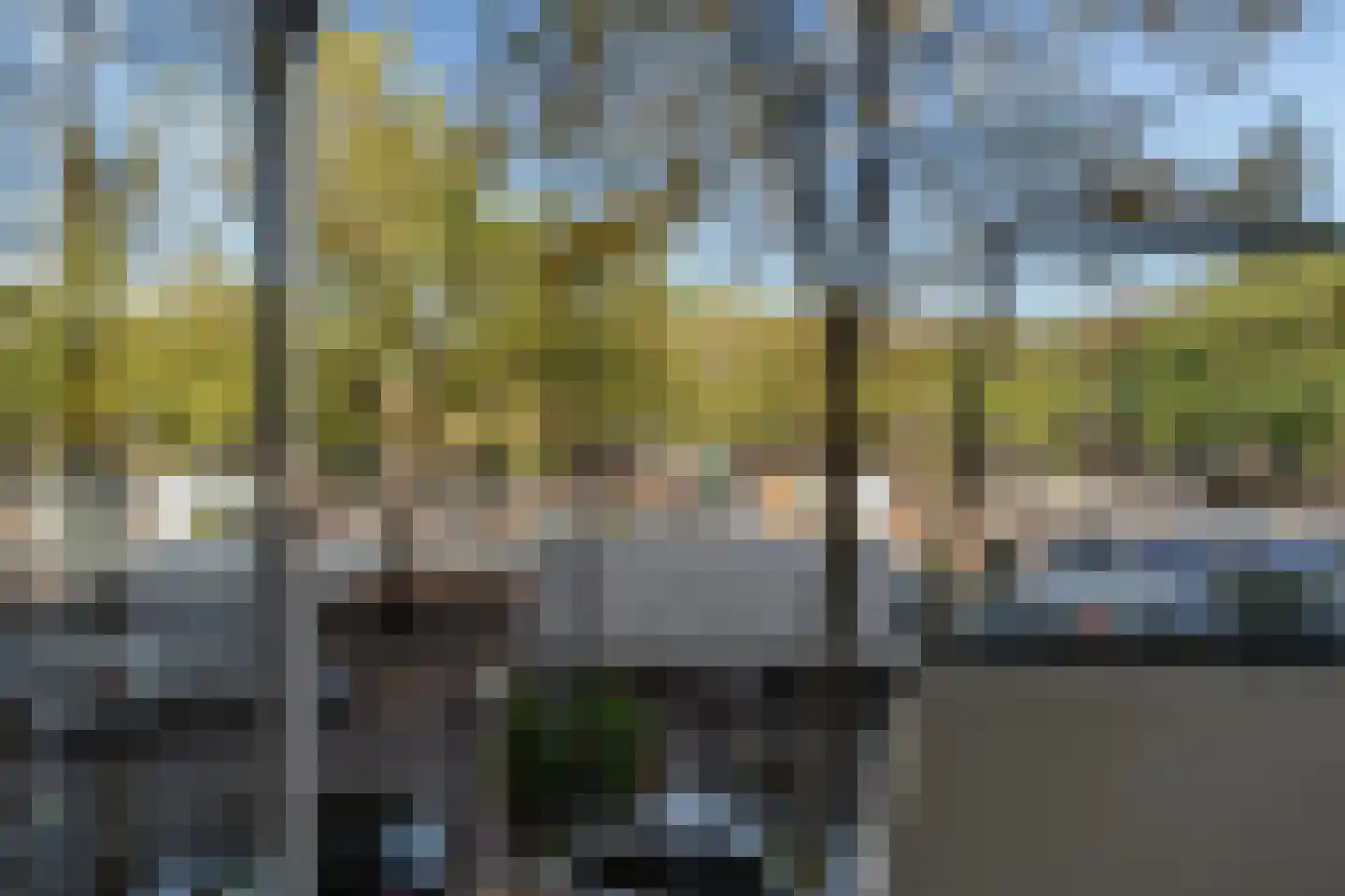 Peppelweg 82 B Rotterdam thumbnail 25