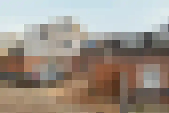 Peppengouw 171 Almere thumbnail 36