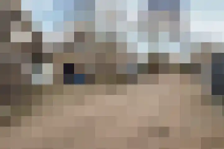 Peppengouw 171 Almere thumbnail 37