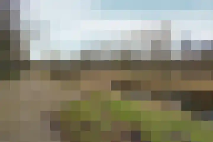 Peppengouw 171 Almere thumbnail 39