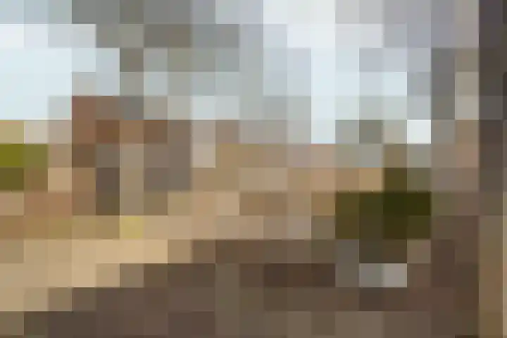 Peppengouw 171 Almere thumbnail 40