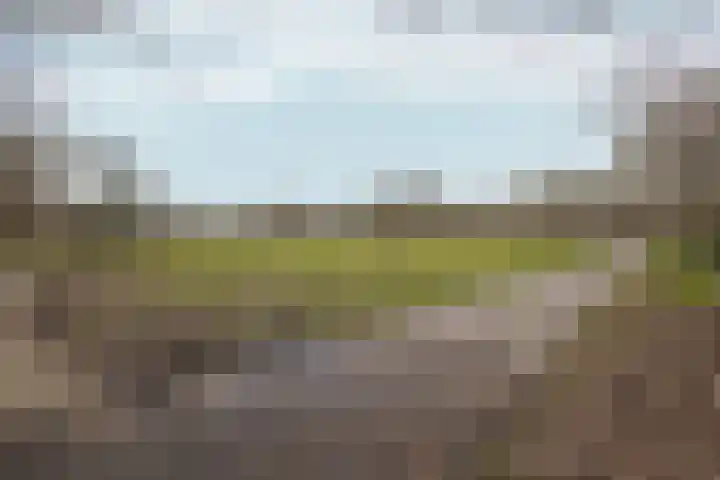 Peppengouw 171 Almere thumbnail 42