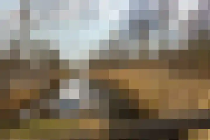 Peppengouw 171 Almere thumbnail 43
