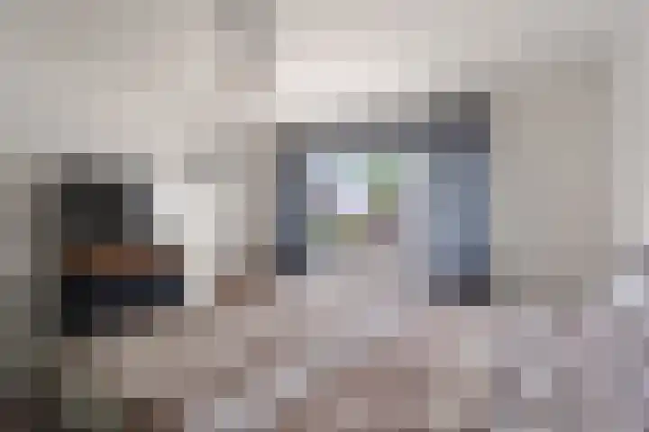 Peppengouw 173 Almere thumbnail 33