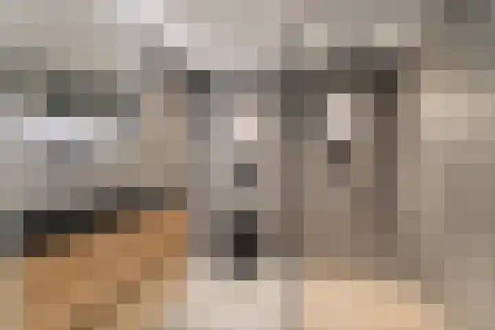 Peppengouw 173 Almere thumbnail 4